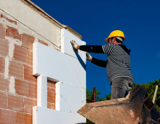 Best Types of Insulation in Lake St Louis, MO