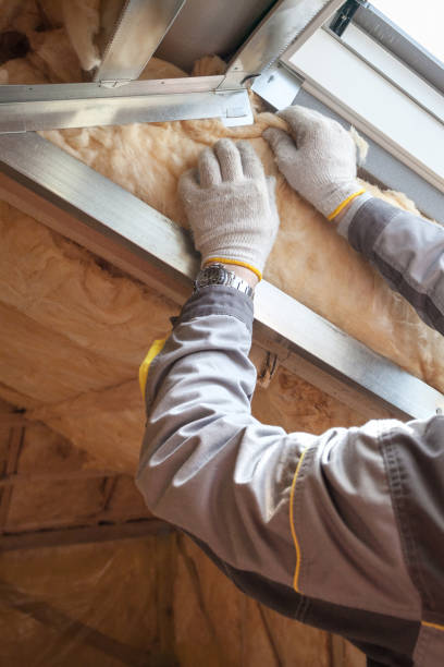 Best Insulation Installation Services in Lake St Louis, MO